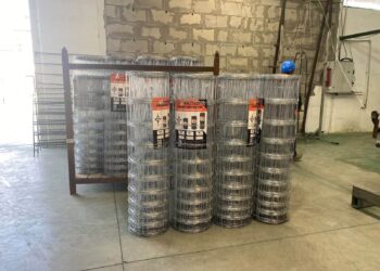 ТҮРКІСТАН ОБЛЫСЫНДА БИЫЛ «ДАМУ» ҚОРЫНЫҢ ҚОЛДАУЫМЕН 200-ГЕ ЖУЫҚ ЖОБА ЖҮЗЕГЕ АСЫРЫЛДЫ