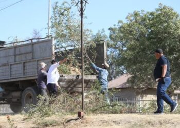 ТАЗА ҚАЗАҚСТАН: САРЫАҒАШ АУДАНЫНДА АУҚЫМДЫ СЕНБІЛІК ӨТТІ