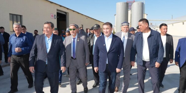 ТҮРКІСТАН: МАҚТААРАЛДА МАҚТА МАЙЫН ӨҢДЕЙТІН ЗАУЫТ ІСКЕ ҚОСЫЛДЫ